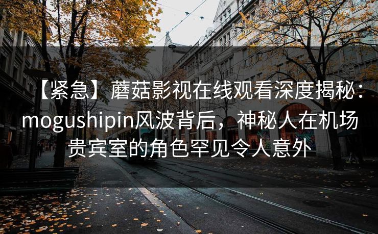 【紧急】蘑菇影视在线观看深度揭秘：mogushipin风波背后，神秘人在机场贵宾室的角色罕见令人意外
